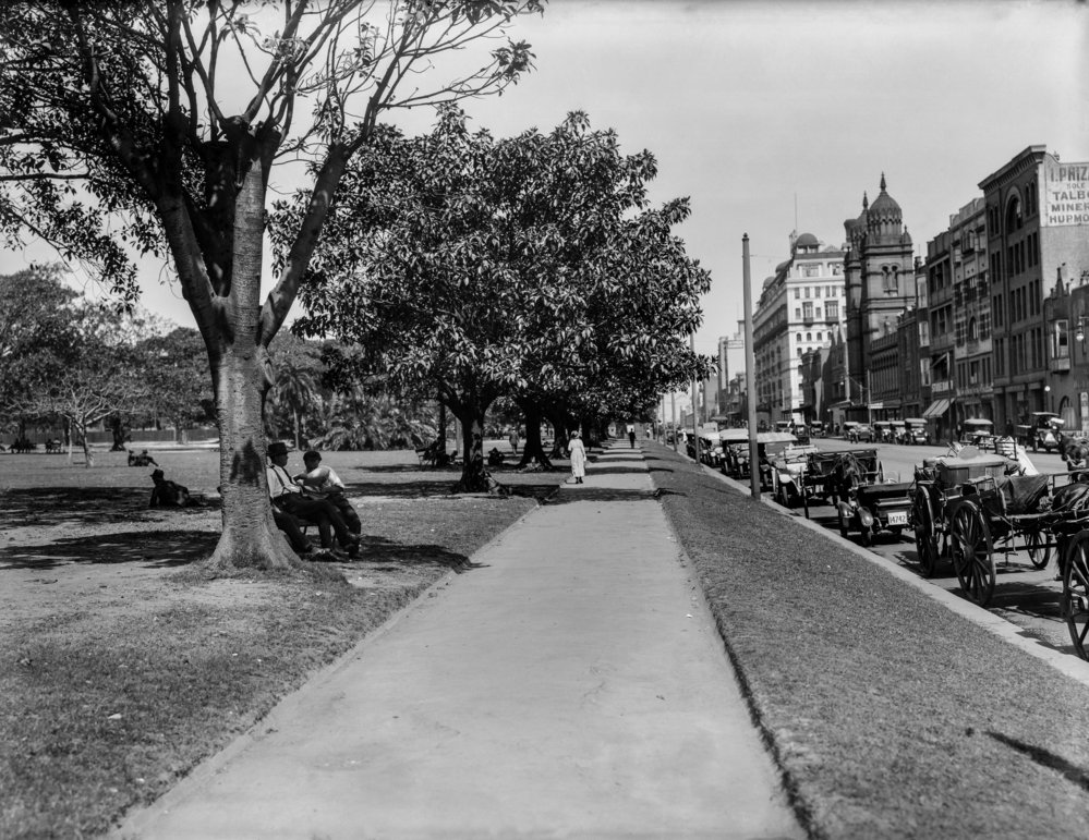 Hyde Park North And Elizabeth Street 1922 City Of Sydney Archives   2232341 Max