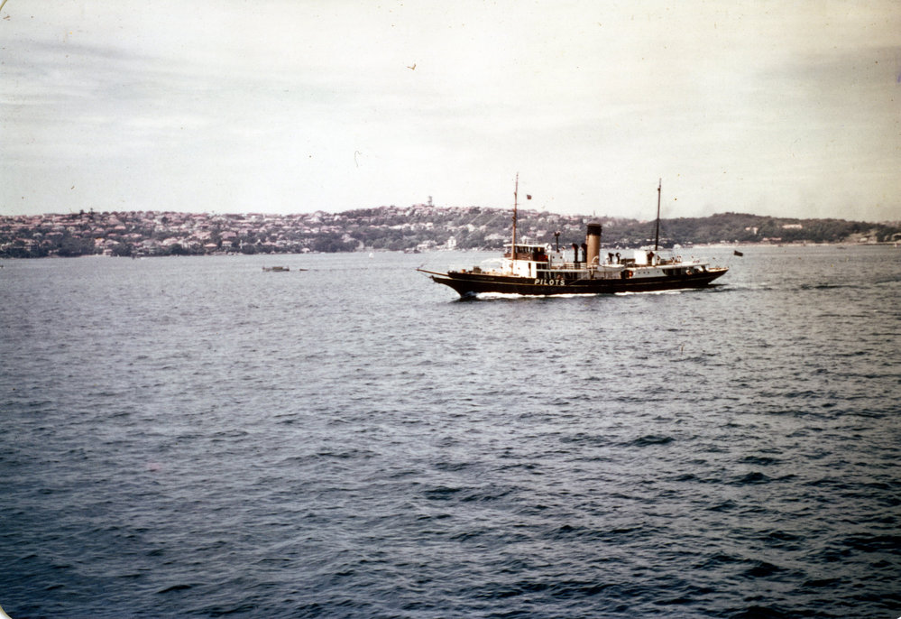 Pilot steamer CAPTAIN COOK (3) outbound Sydney. | City of Sydney Archives