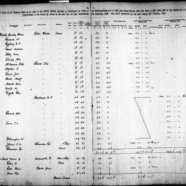 Paddington Assessment and Rate Book