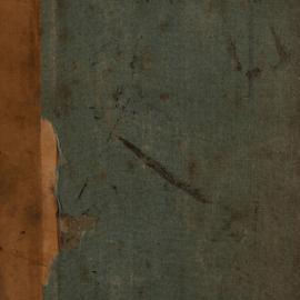 Minute Book [Newtown Municipal Council], 1872-1878