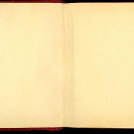 Surveyor's Fieldbook - P Johnston, 1921