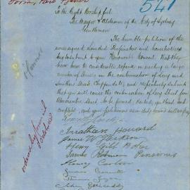 Petition - Request to continue Levy and Smithers Streets Chippendale, 1878