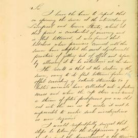 Memorandum - City Engineer reports butchers' offal is being dumped in sewers at Liverpool Street Darlinghurst, 1881