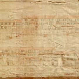Plan - Workmen's Dwellings, Ways Terrace Pyrmont, 1924
