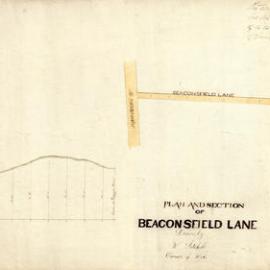 Plan and section of Beaconsfield lane Alexandria, adopted by Council … 6 May 1891