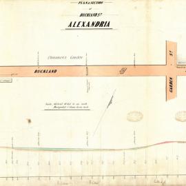 Plan and section of Buckland St Alexandria [not dated]