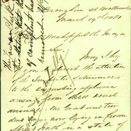 Letter - B Burdekin to Mayor, effluvia from dead animals on Crown Street, 1861