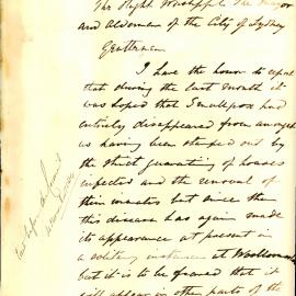 Memorandum - City Health Officer GF Dansey reporting on a case of smallpox, 1884 