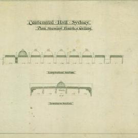 Finish of Ceiling - Longitudinal Section and Transverse Section. (No. 256, No.42A)