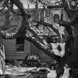 Glass Negative - Cottage in High Holborn Street Surry Hills, circa 1900