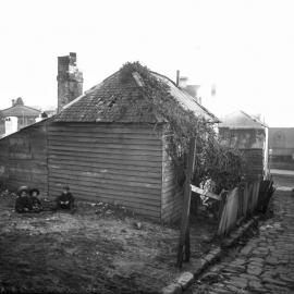 Glass Negative - Holt Place Surry Hills, circa 1901