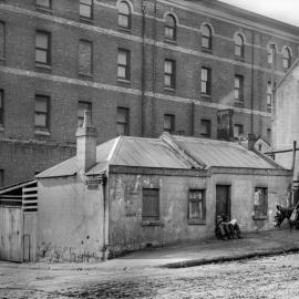 Glass Negative - Dwelling in Liverpool Street Sydney, circa 1902