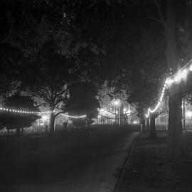 Glass Negative - American fleet decorations in Hyde Park Sydney, 1908