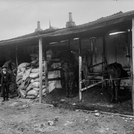 Glass Negative - William Vogwell, Inspector of Nuisances at Stables in Brown Street Camperdown 1922