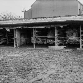 Glass Negative - Denison and Bishopgate Streets Camperdown, 1922