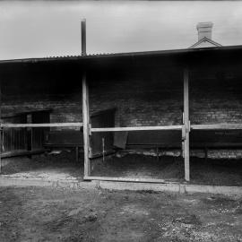 Glass Negative - Stables, Denison Street Camperdown, 1922