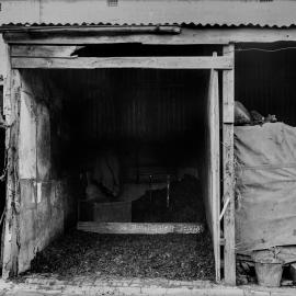 Glass Negative - Stables, Bishopgate and Denison Streets Camperdown, 1922