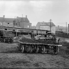 Glass Negative - Stable at the corner of Gehrig Lane and Chester St Camperdown, 1922