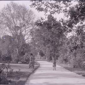 Glass Negative - Hyde Park, Sydney, 1900