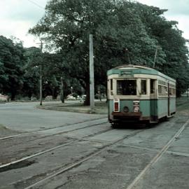 John Ward Collection - Trams