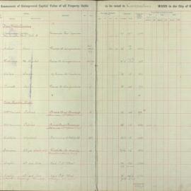 Assessment Book - Unimproved Capital Value - Camperdown Ward, 1920