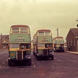 Extra buses for Royal Easter Show, 1969