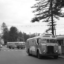 John Ward Collection - Buses