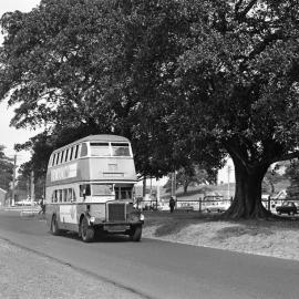 John Ward Collection - Buses 