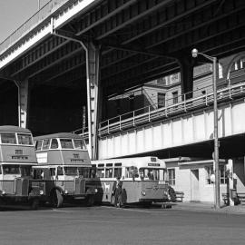 John Ward Collection - Buses