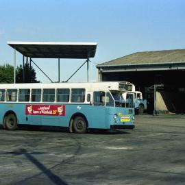 John Ward Collection - Buses