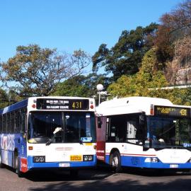 John Ward Collection - Buses