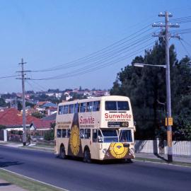 John Ward Collection - Buses