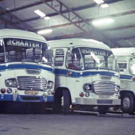 John Ward Collection - Buses