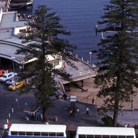 John Ward Collection - Buses