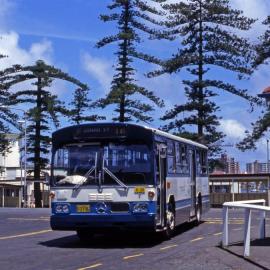 John Ward Collection - Buses