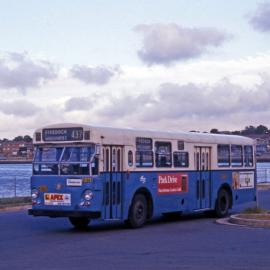 John Ward Collection - Buses