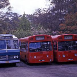 John Ward Collection - Buses