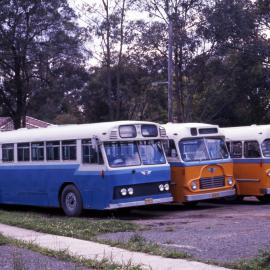 John Ward Collection - Buses