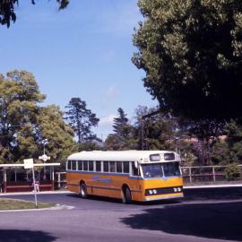 John Ward Collection - Buses