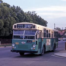 John Ward Collection - Buses