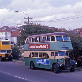 John Ward Collection - Buses