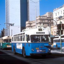 John Ward Collection - Buses