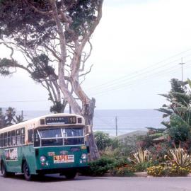 John Ward Collection - Buses