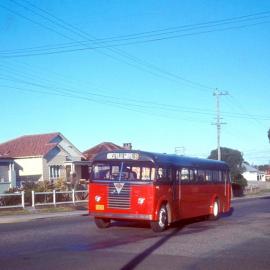 John Ward Collection - Buses