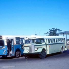 John Ward Collection - Buses