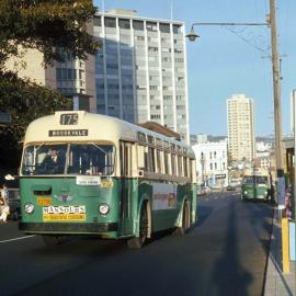 John Ward Collection - Buses