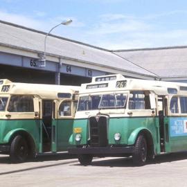 John Ward Collection - Buses