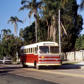 John Ward Collection - Buses