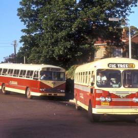 John Ward Collection - Buses 