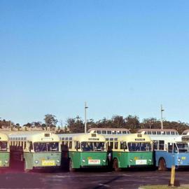 John Ward Collection - Buses